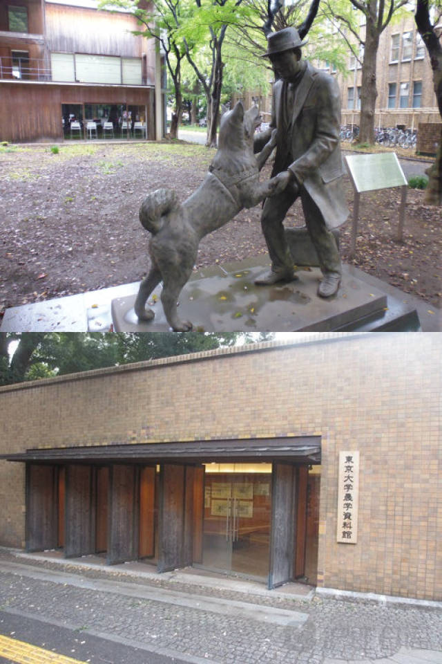 50度视频 衍生内容或其他非正式视频