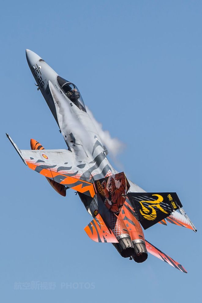 推荐小马拉大车骚