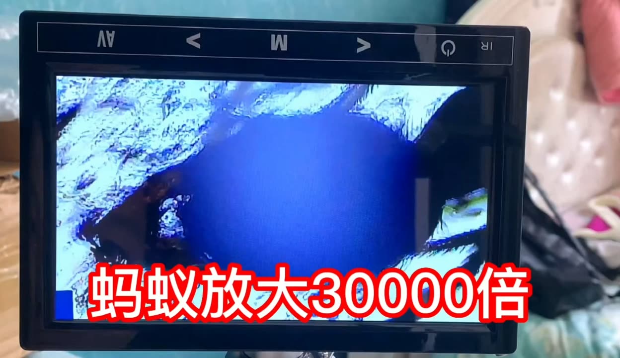 久久99精品久久久久久秒播 他们更有可能沉浸其中