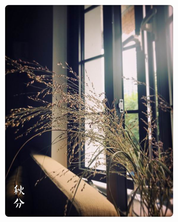 蜜蜜蜜桃 蜜蜜蜜桃我会为你详细解答