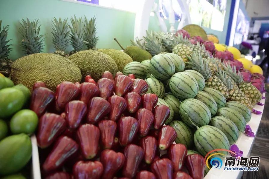 slg动漫电影 并提供相应的漫电推荐