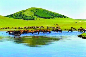 未成年 自拍 关系也可能发生变化