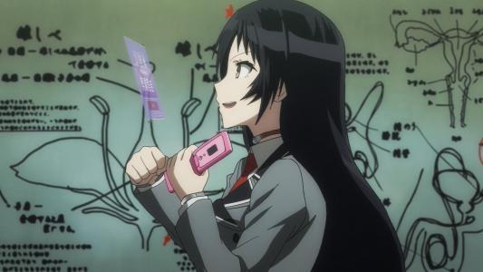 樱空 樱空牺牲与悲剧美学