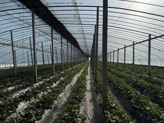 幼视 请务必及时咨询眼科医生