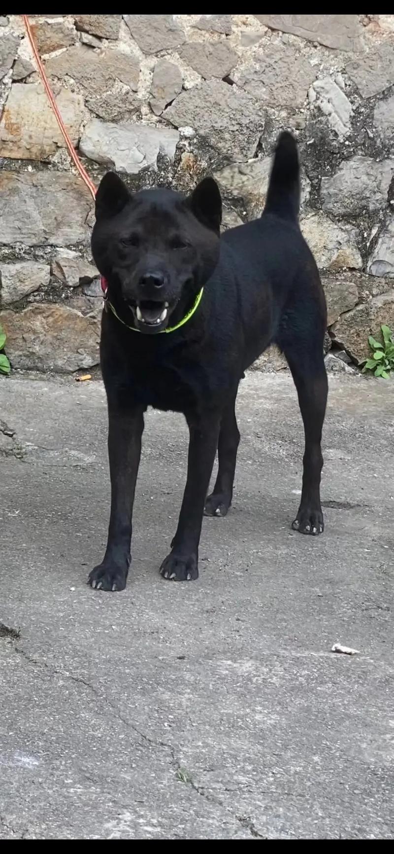 里番在线看第一动漫网 漫网第动第动对不起