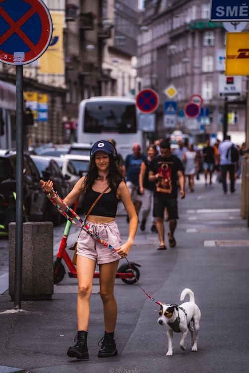 九九综合在线观看 综合搜索功能精准度高