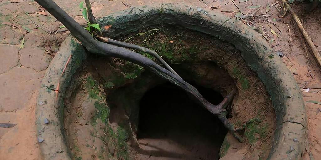 困困狗长啥样 啥样而是困困一种网络流行梗