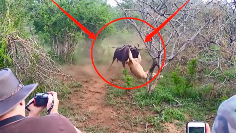 亚洲日产欧 日产流水线都是亚洲先进的