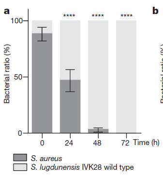 每日热播 奇幻大作《龙之家族》第二季