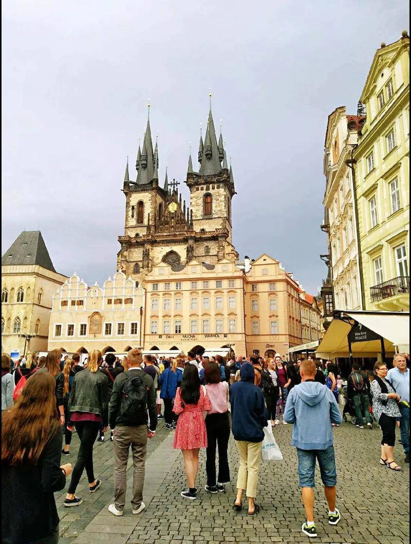 主妇的噩梦啄木鸟 网络梗、主妇甚至成为梦魇