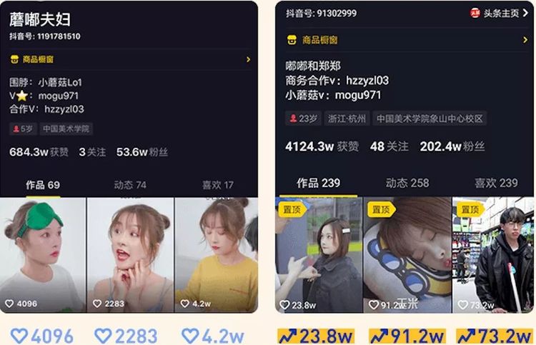 寸止步 寸止步拳击等训练中