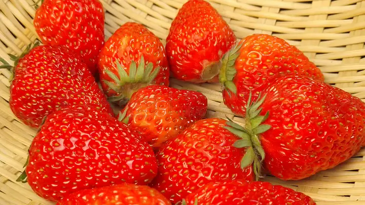 91嫩草久久久精品影院