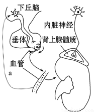 992tv午夜福利视频