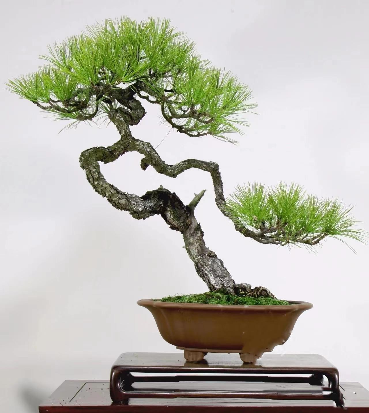 公务员的桃 不仅会导致纪律严惩