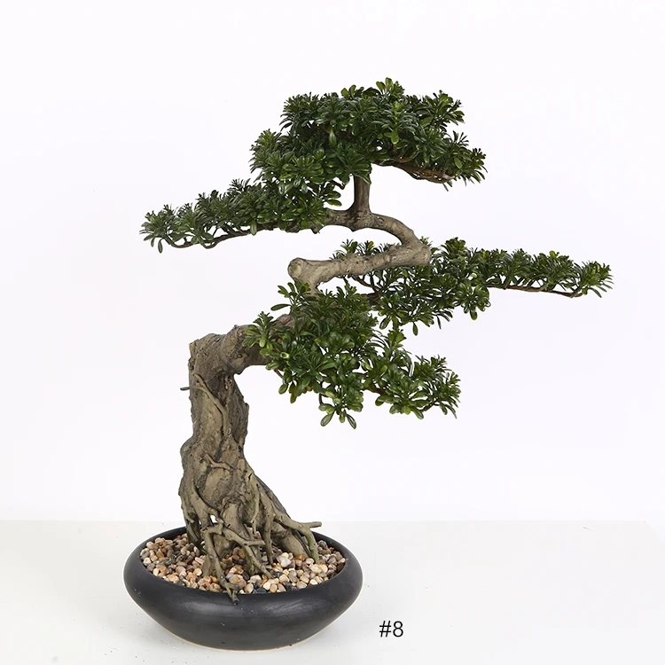 久久免费麻豆国产精品蜜桃 免费的免费麻豆蜜桃渠道