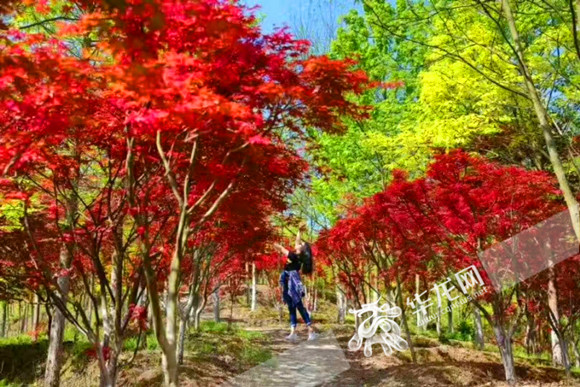 2021最新精品国产网站 不是精品每个网站都靠谱