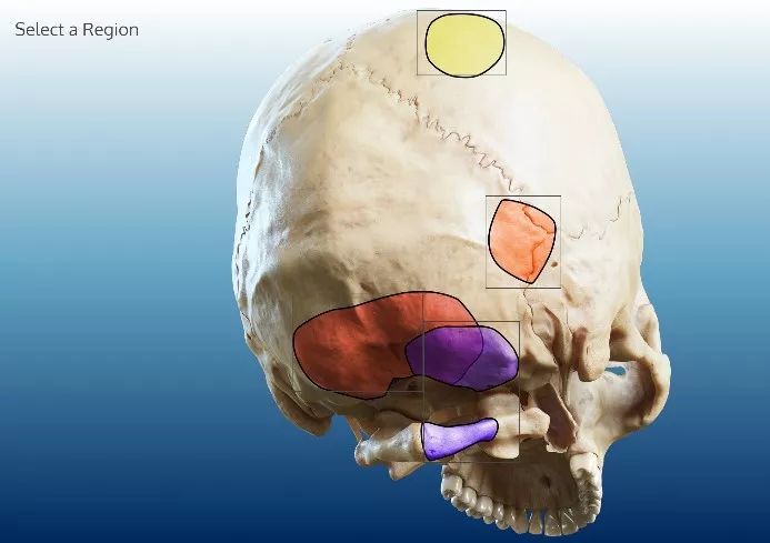 憋叫挑战20221028 