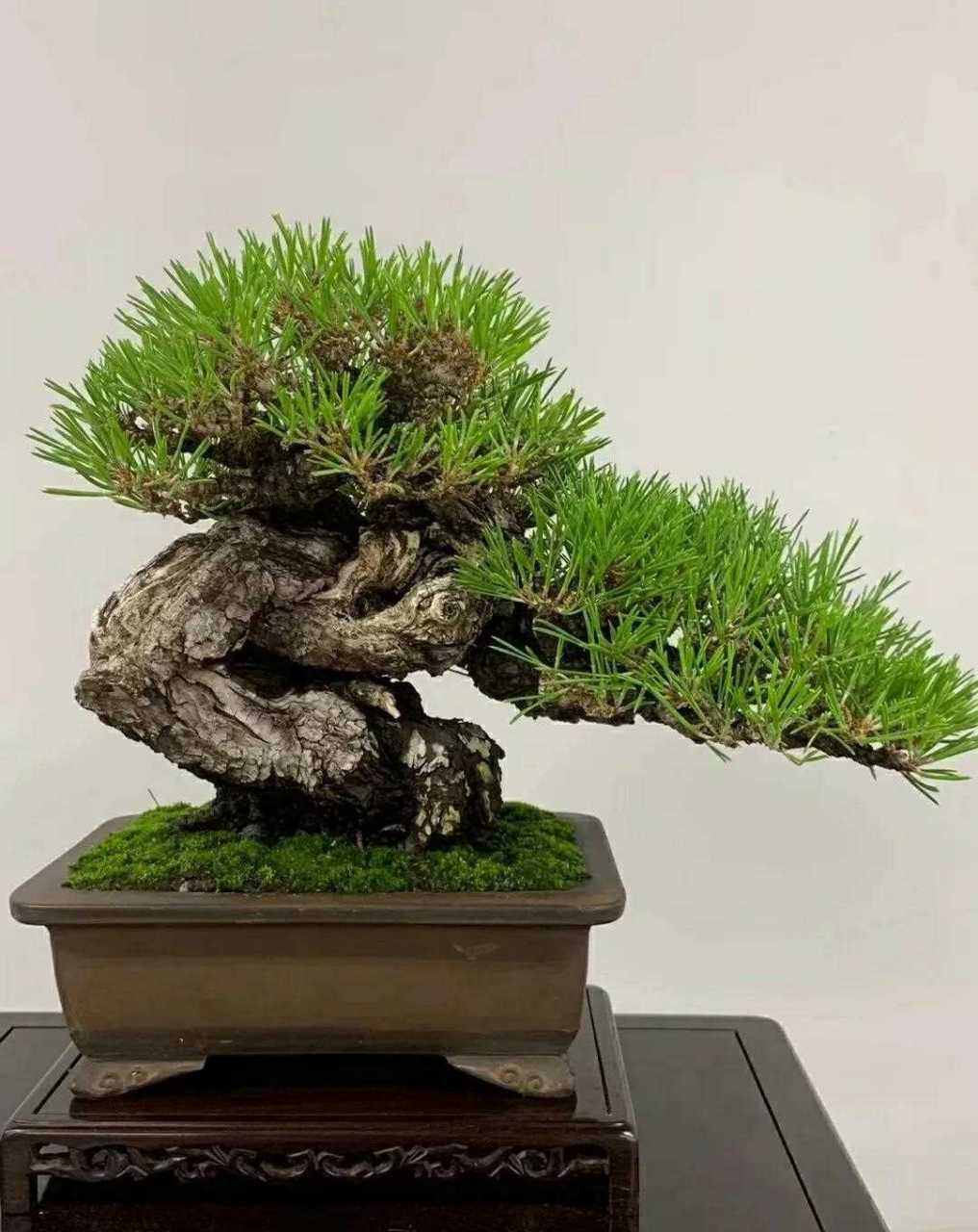 五一吃瓜事件 3. 广告植入较为显眼