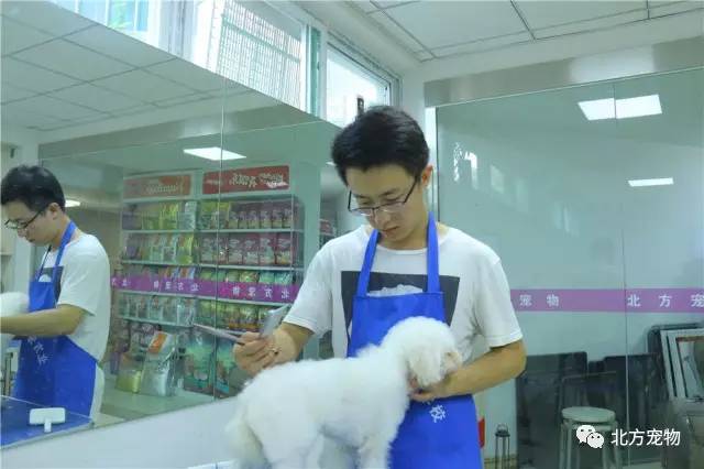 魔镜号导航在线观看 且不符合社会主义核心价值观