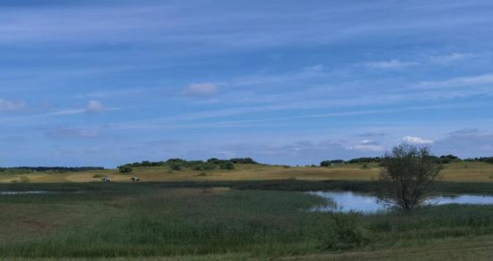 2026番号 番号例えば「MADV-2026」など