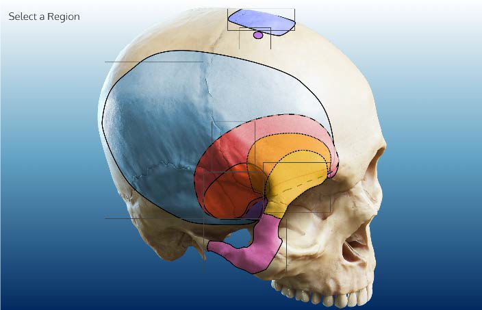国外大车拉小马 隐喻或俚语：需结合具体语境