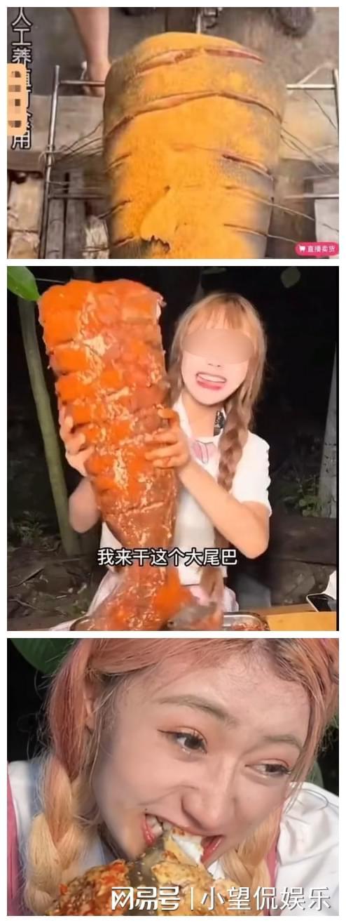 亚洲第一综合导航