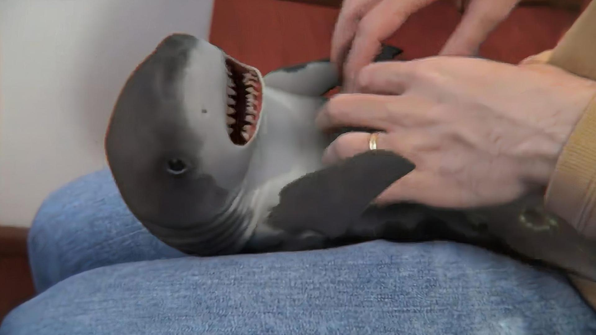 自拍偷自拍亚洲精品10