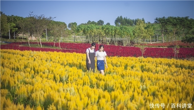 精品国产综合区久久久久久