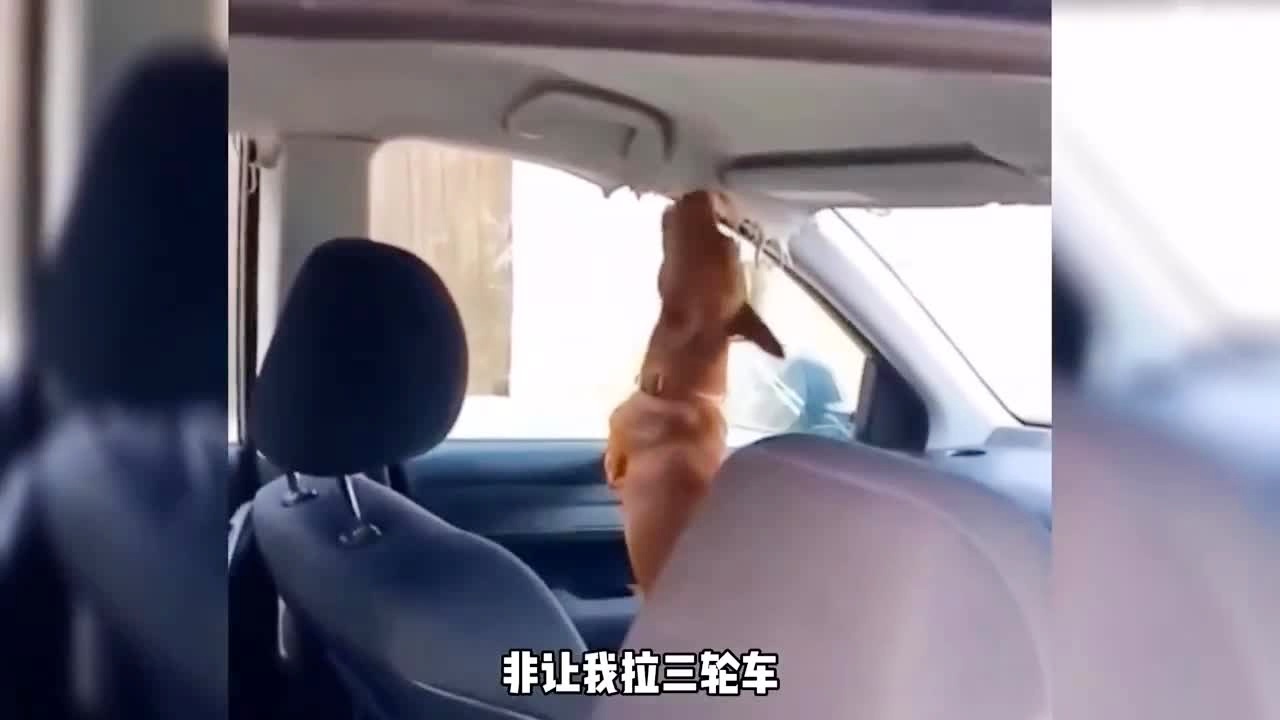 插肛门什么感觉 感觉且涉及括约肌等复杂结构