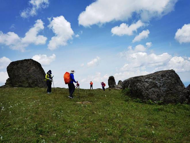 蘑菇影视app官方下载