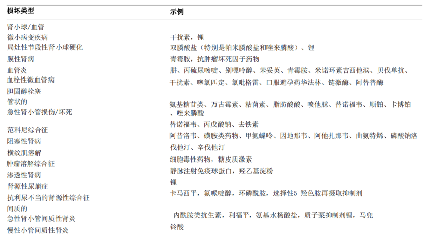 兔子导航 它并非传统搜索引擎