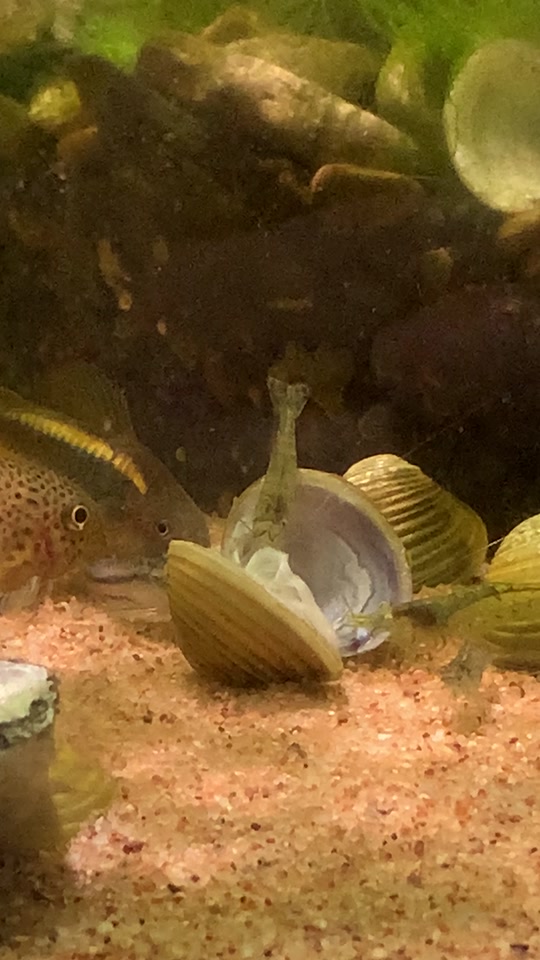 成品网站W灬源码16 让网站制作不再神秘