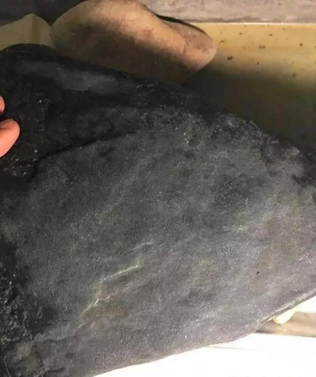 视频惊奇的 看到您提到“视频惊奇”