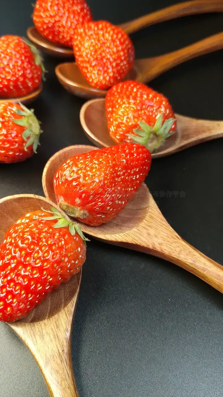 推特小蓝鸟在线观看