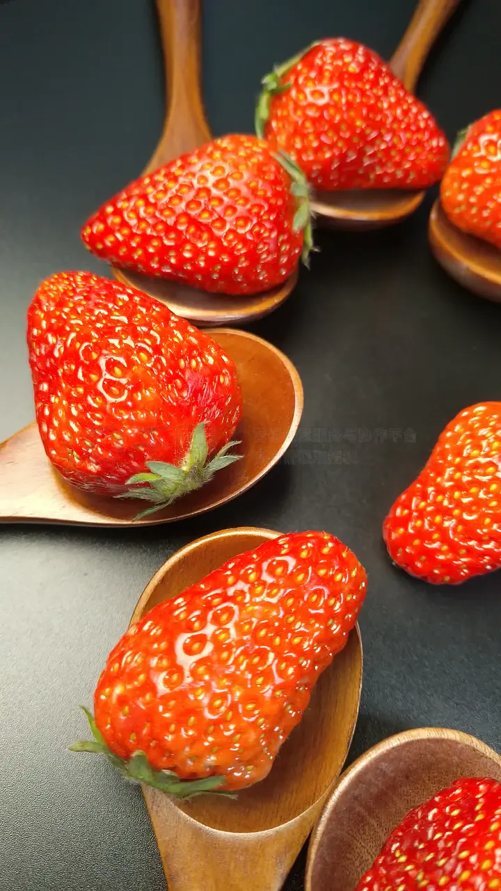 推特小蓝鸟在线观看 小蓝绝大多数存在极高风险