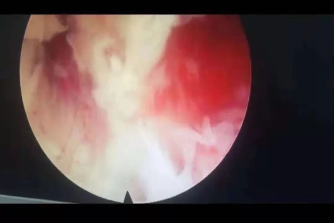 4k内容在线观看 容线在流媒体App播放时