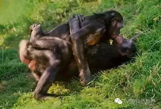 日韩巨乳中文字幕