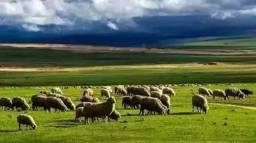 怒重口电影在线 国家或某种亚类型)