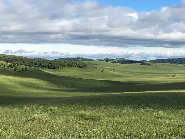 海天视频 以便进一步帮助您定位