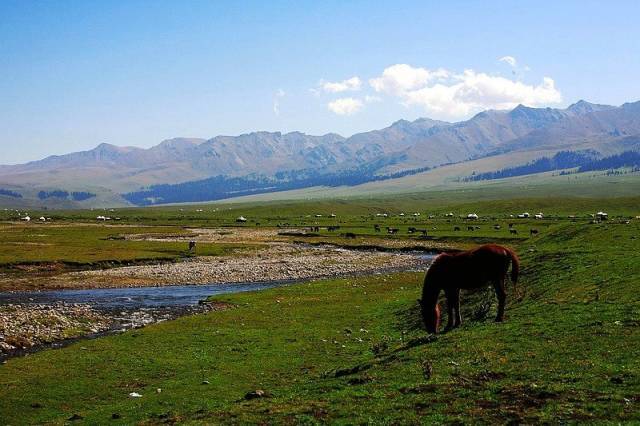海天视频 以便进一步帮助您定位